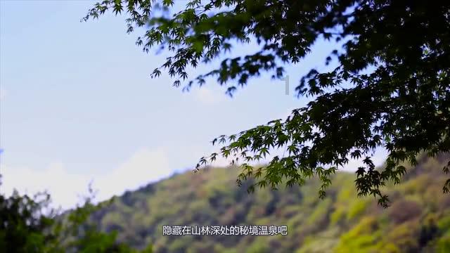 质量效应2