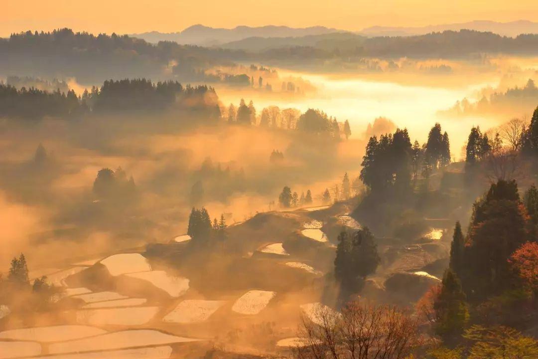 逃离水虎鱼湖